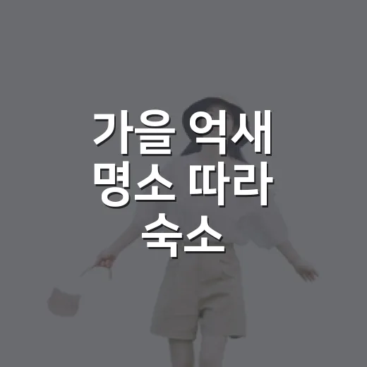 가을 억새 명소 따라 숙소 잡아봤더니 달랐던 것 - 요약