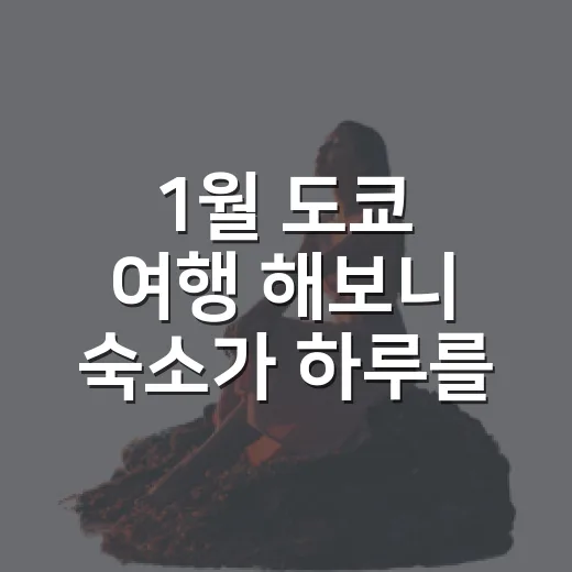 1월 도쿄 여행 해보니 숙소가 하루를 바꿨다 - 요약