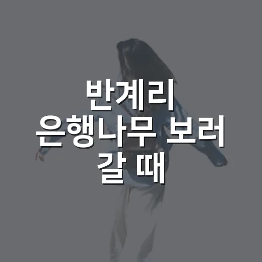 반계리 은행나무 보러 갈 때 숙소부터 따져본 이유 - 요약
