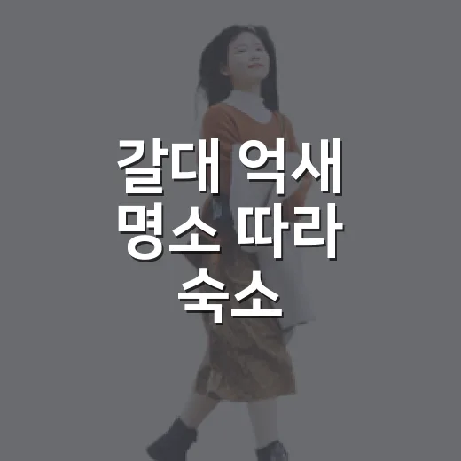 갈대 억새 명소 따라 숙소 잡아봤더니 달랐다 - 요약
