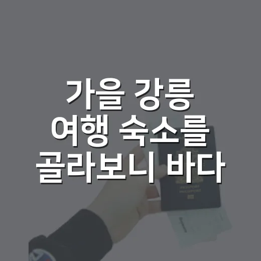 가을 강릉 여행 숙소를 골라보니 바다보다 중요한 게 있었다 - 요약