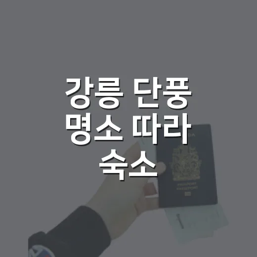 강릉 단풍 명소 따라 숙소 잡아봤더니 달랐다 - 요약