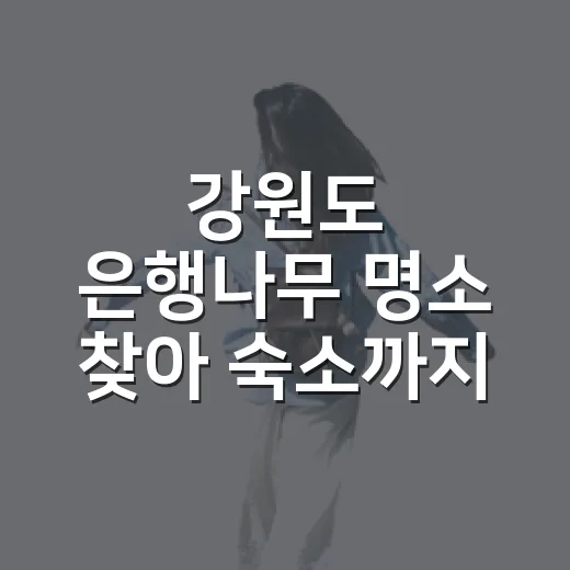 강원도 은행나무 명소 찾아 숙소까지 골라봤더니 - 요약