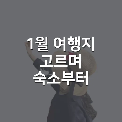 1월 여행지 고르며 숙소부터 따져봤더니 - 요약