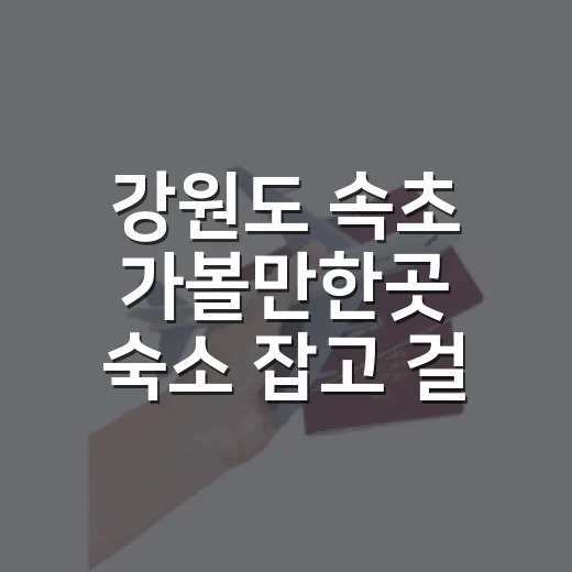 강원도 속초 가볼만한곳 숙소 잡고 걸어봤더니 - 요약