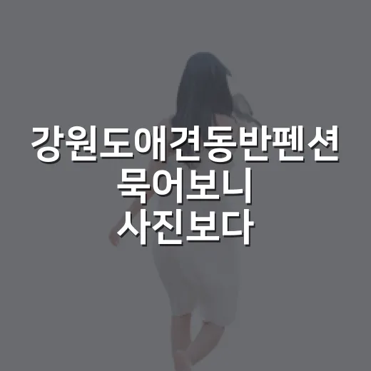 강원도애견동반펜션 묵어보니 사진보다 중요했던 것들 - 요약