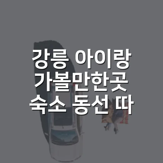 강릉 아이랑 가볼만한곳 숙소 동선 따라 골라봤더니 - 요약