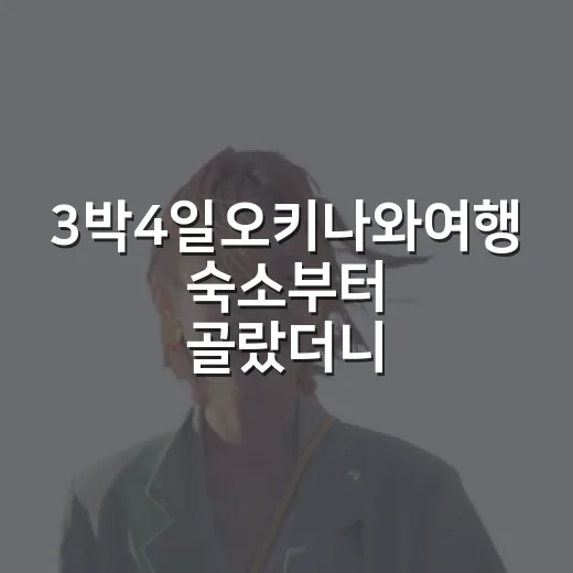 3박4일오키나와여행 숙소부터 골랐더니 일정이 달라졌다 - 요약