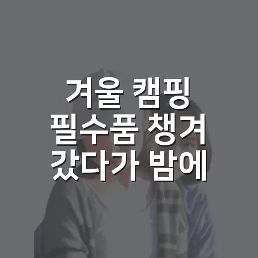 겨울 캠핑 필수품 챙겨 갔다가 밤에 깨달은 것 - 요약