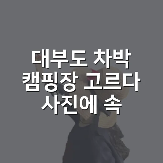 대부도 차박 캠핑장 고르다 사진에 속을 뻔했다 - 요약