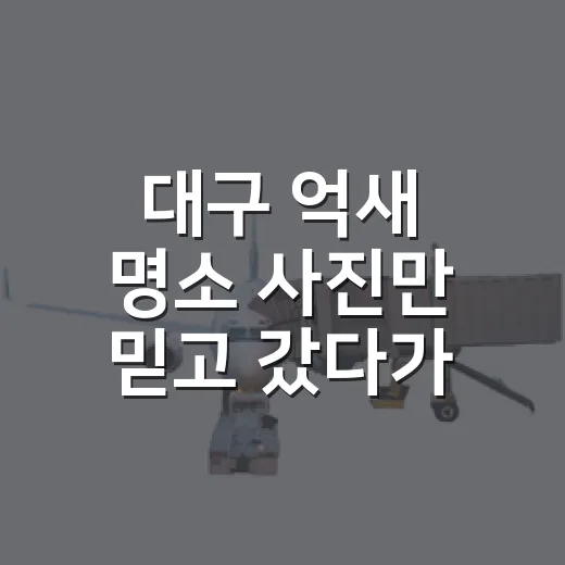 대구 억새 명소 사진만 믿고 갔다가 알게 된 것 - 요약