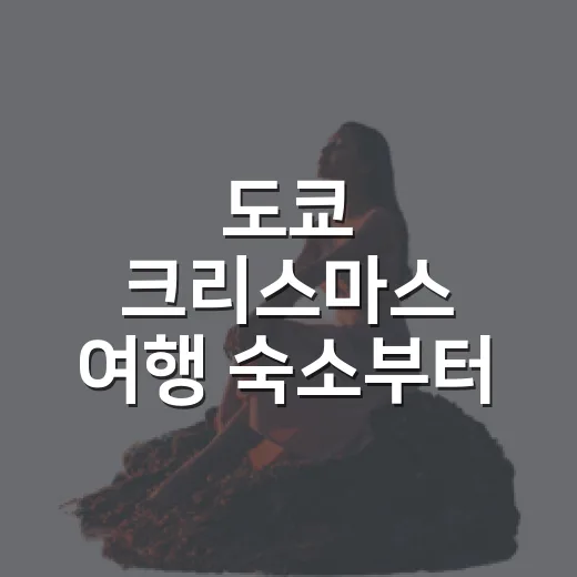 도쿄 크리스마스 여행 숙소부터 골라보니 달랐다 - 요약
