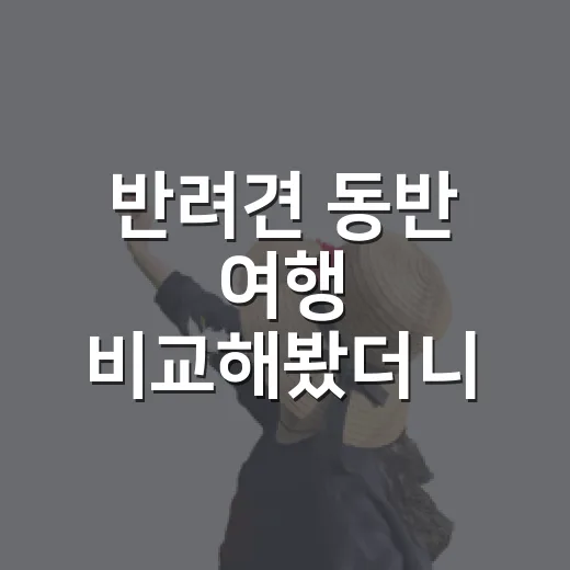 반려견 동반 여행 비교해봤더니 사진보다 중요한 게 있었다 - 요약