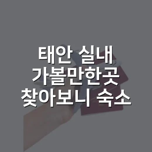 태안 실내 가볼만한곳 찾아보니 숙소 위치가 중요했다 - 요약