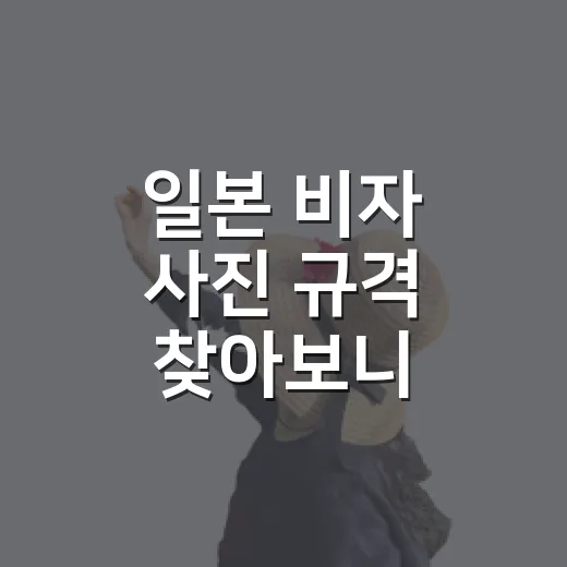 일본 비자 사진 규격 찾아보니 신청서부터 헷갈렸다 - 요약