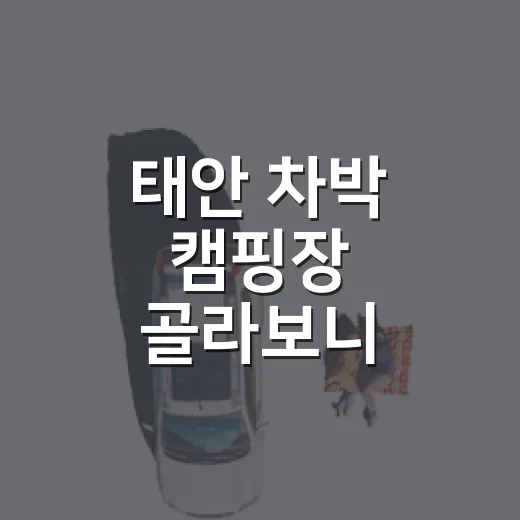 태안 차박 캠핑장 골라보니 바다보다 영지가 중요했다 - 요약