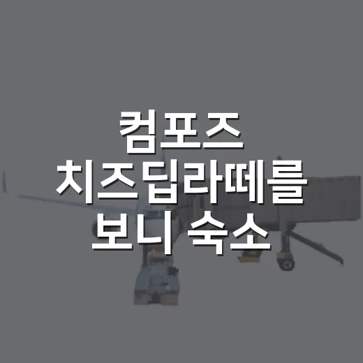 컴포즈 치즈딥라떼를 보니 숙소 고르던 버릇이 나왔다 - 요약