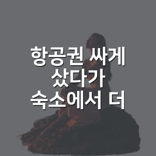 항공권 싸게 샀다가 숙소에서 더 쓴 이야기 - 요약