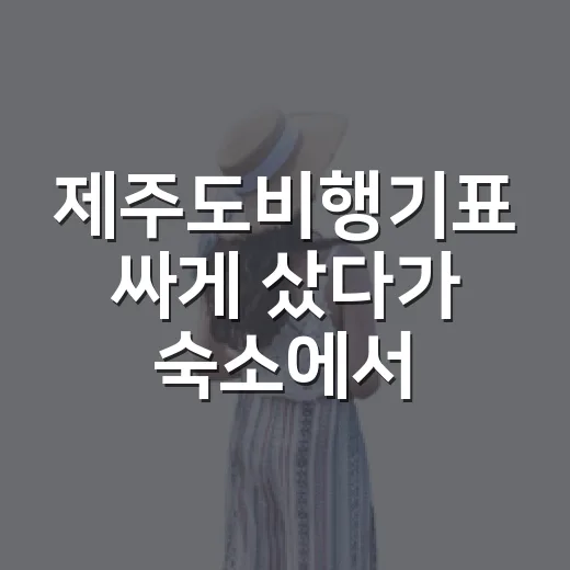 제주도비행기표 싸게 샀다가 숙소에서 손해 봤다 - 요약