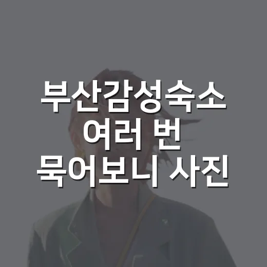 부산감성숙소 여러 번 묵어보니 사진 밖이 보였다 - 요약