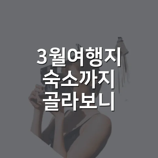 3월여행지 숙소까지 골라보니 꽃보다 동선이 중요했다 - 요약
