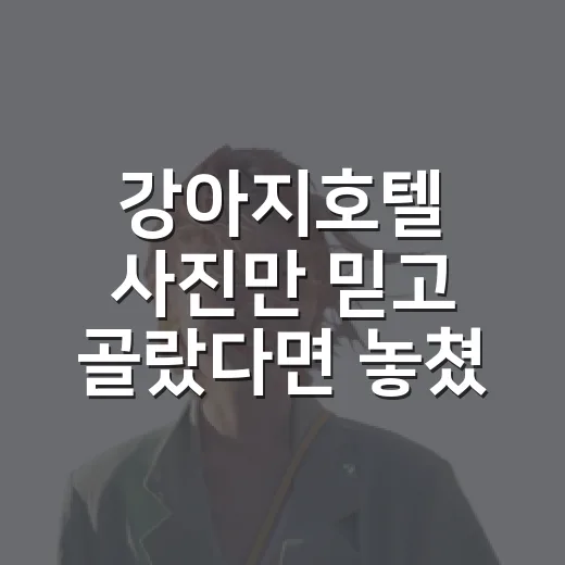 강아지호텔 사진만 믿고 골랐다면 놓쳤을 이야기 - 요약