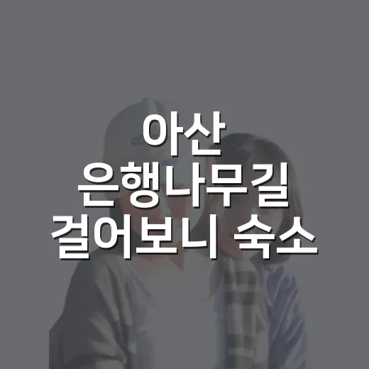 아산 은행나무길 걸어보니 숙소 잡는 기준도 달라졌다 - 요약
