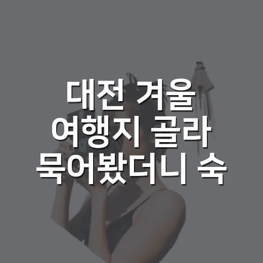 대전 겨울 여행지 골라 묵어봤더니 숙소 위치가 중요했다 - 요약