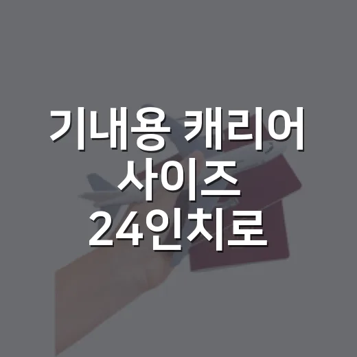 기내용 캐리어 사이즈 24인치로 찾아봤더니 착각이었다 - 요약