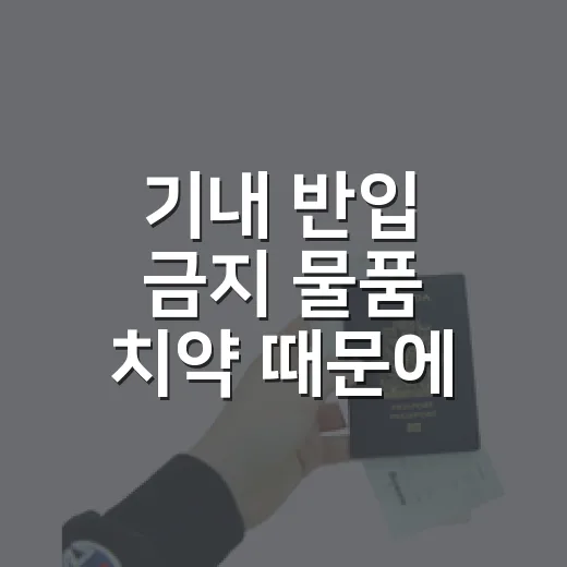 기내 반입 금지 물품 치약 때문에 짐을 다시 쌌다 - 요약