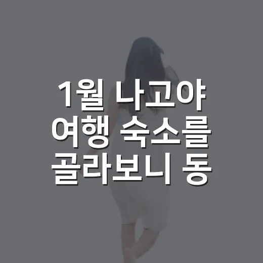 1월 나고야 여행 숙소를 골라보니 동선이 먼저였다 - 요약