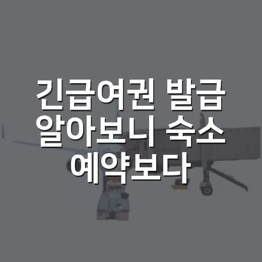 긴급여권 발급 알아보니 숙소 예약보다 먼저 확인할 게 있었다 - 요약