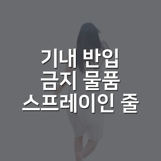 기내 반입 금지 물품 스프레이인 줄 알고 다시 싼 짐 - 요약