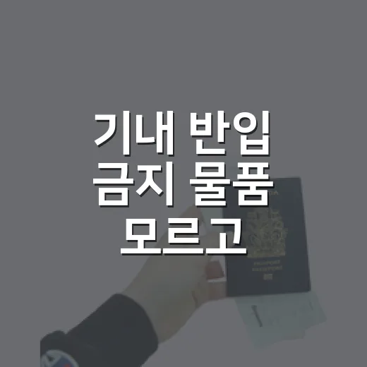 기내 반입 금지 물품 모르고 챙겼다가 가방 다시 열었다 - 요약