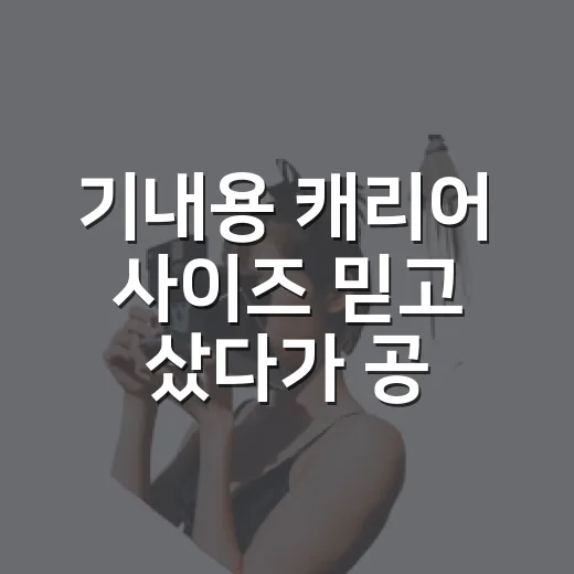 기내용 캐리어 사이즈 믿고 샀다가 공항에서 멈칫했다 - 요약