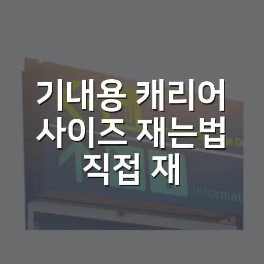기내용 캐리어 사이즈 재는법 직접 재보니 달랐다 - 요약