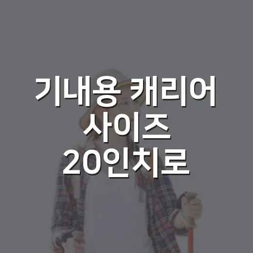 기내용 캐리어 사이즈 20인치로 숙소를 다녀봤더니 - 요약