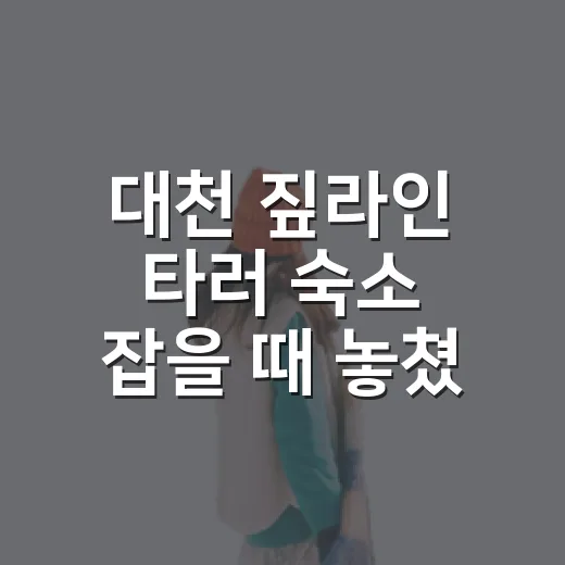 대천 짚라인 타러 숙소 잡을 때 놓쳤던 것들 - 요약