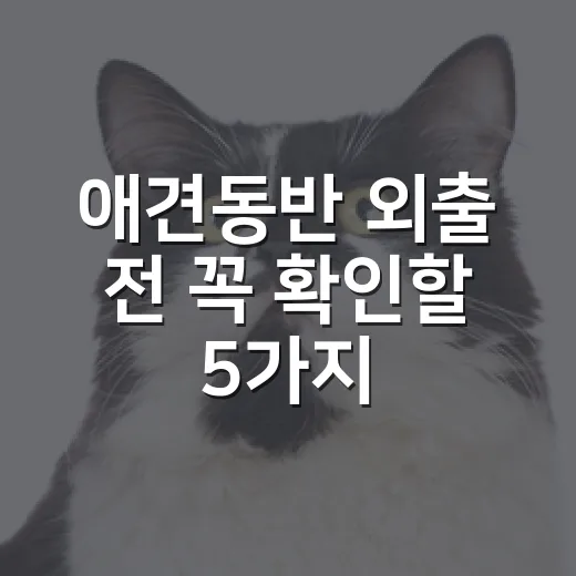 애견동반 외출 전 꼭 확인할 5가지 기준 - 요약