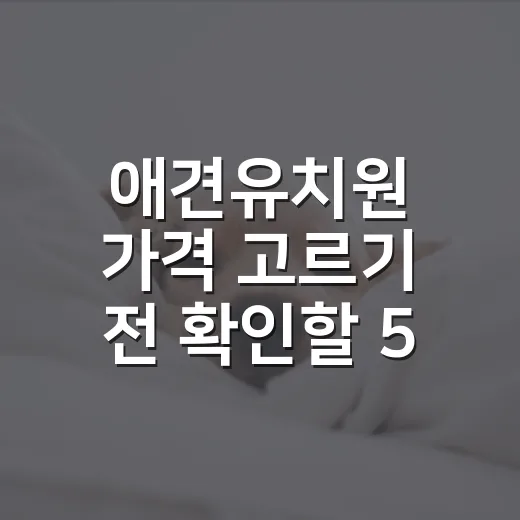 애견유치원 가격 고르기 전 확인할 5가지 비용 기준 - 요약