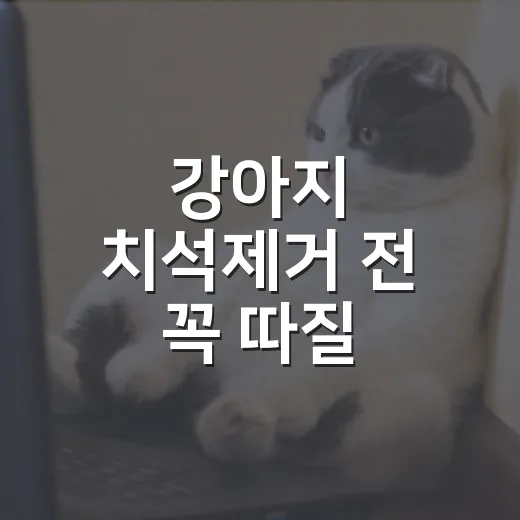 강아지 치석제거 전 꼭 따질 5가지: 펫바이옴보다 먼저 볼 것들 - 요약