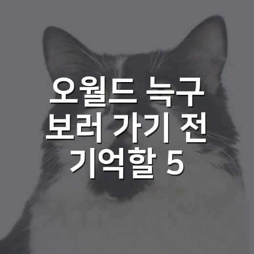 오월드 늑구 보러 가기 전 기억할 5가지 책임 - 요약