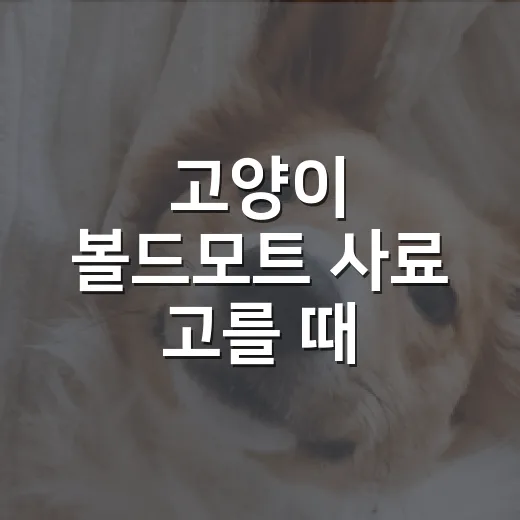 고양이 볼드모트 사료 고를 때 확인할 5가지 기준 - 요약