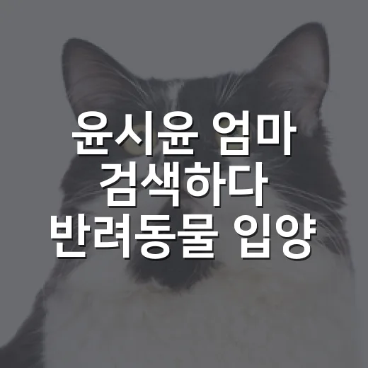윤시윤 엄마 검색하다 반려동물 입양 전 꼭 따질 5가지 - 요약