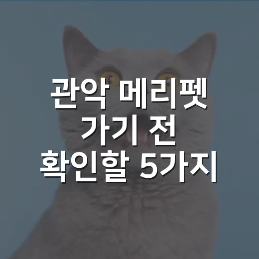 관악 메리펫 가기 전 확인할 5가지 기준 - 요약