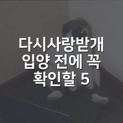 다시사랑받개 입양 전에 꼭 확인할 5가지 현실 체크 - 요약