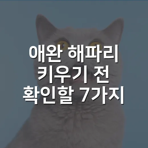 애완 해파리 키우기 전 확인할 7가지 현실 조건 - 요약
