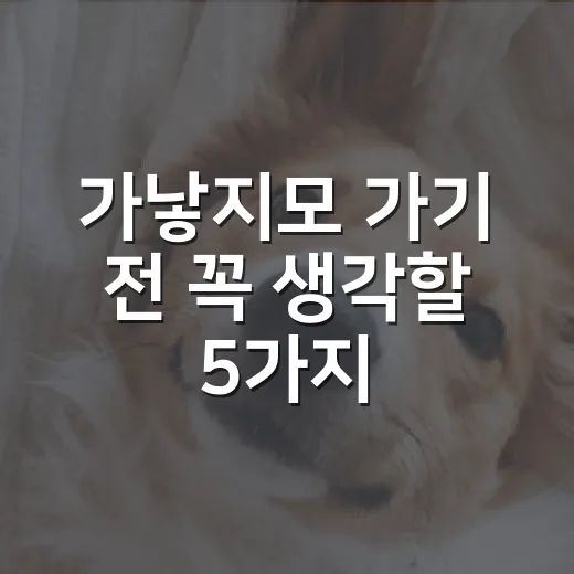 가낳지모 가기 전 꼭 생각할 5가지 책임 - 요약