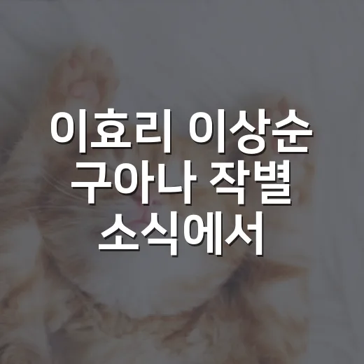 이효리 이상순 구아나 작별 소식에서 봐야 할 5가지 - 요약