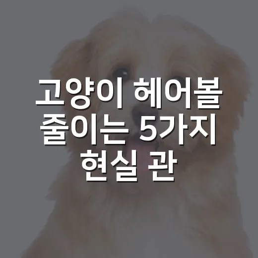 고양이 헤어볼 줄이는 5가지 현실 관리법 - 요약
